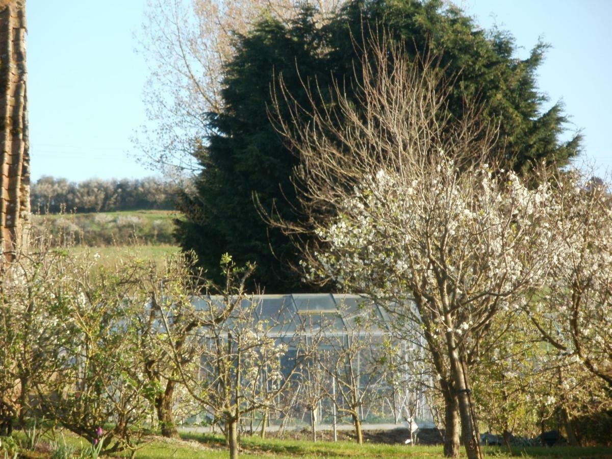 Vila La Ferme Fleurie Echinghen Exteriér fotografie